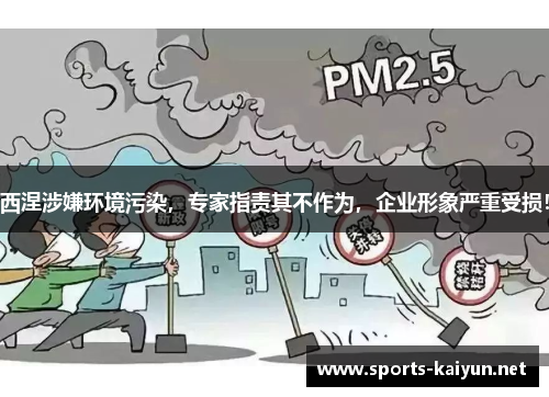 西涅涉嫌环境污染，专家指责其不作为，企业形象严重受损！