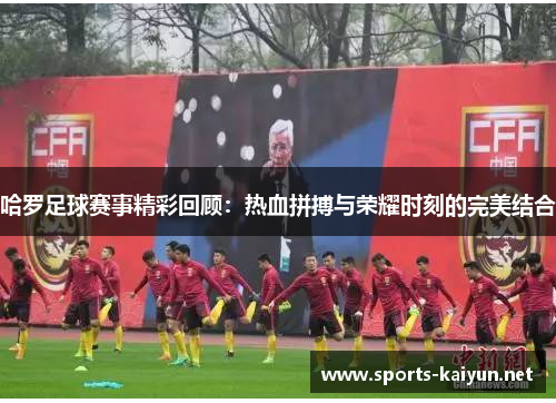 哈罗足球赛事精彩回顾：热血拼搏与荣耀时刻的完美结合