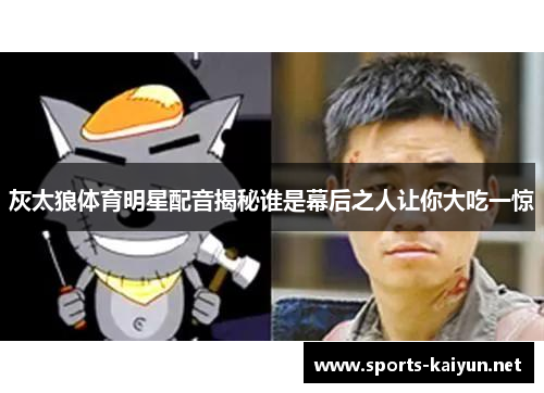 灰太狼体育明星配音揭秘谁是幕后之人让你大吃一惊
